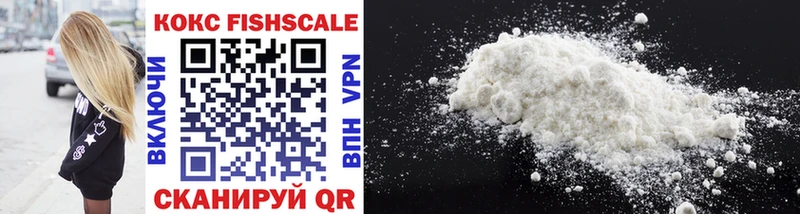 COCAIN Fish Scale  дарк нет как зайти  Скопин  наркошоп 