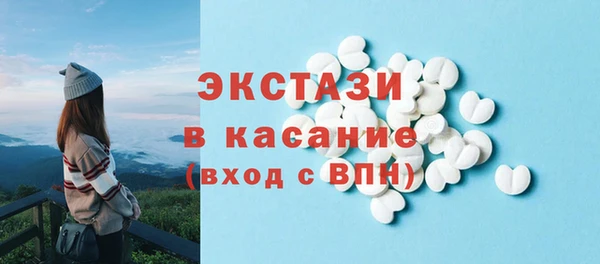гашик Осинники