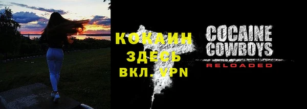 гашик Осинники