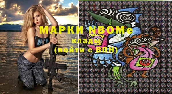 гашик Осинники