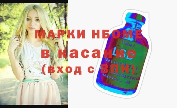гашик Осинники