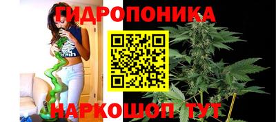 spice Канаш