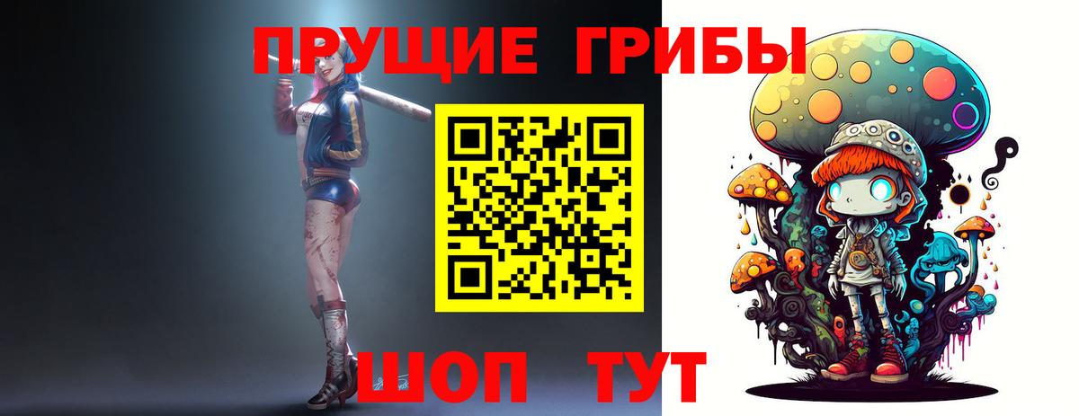 Скопин  Галлюциногенные грибы Cubensis  Вход с VPN 