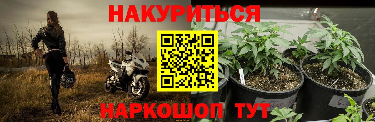 Скопин  Бошки марихуана Ganja  Вход с VPN  Бошки марихуана SATIVA & INDICA 